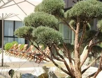 מלון Ramada Parkhotel נירנברג